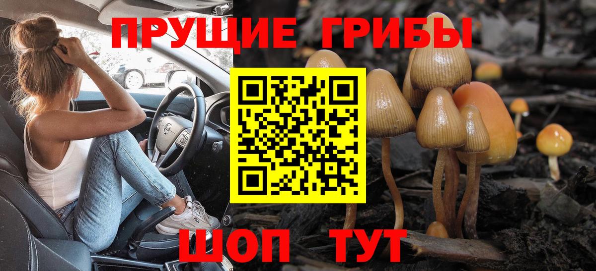 купить  цена  Вход с VPN  Северск  Галлюциногенные грибы мицелий  Псилоцибиновые грибы Cubensis 