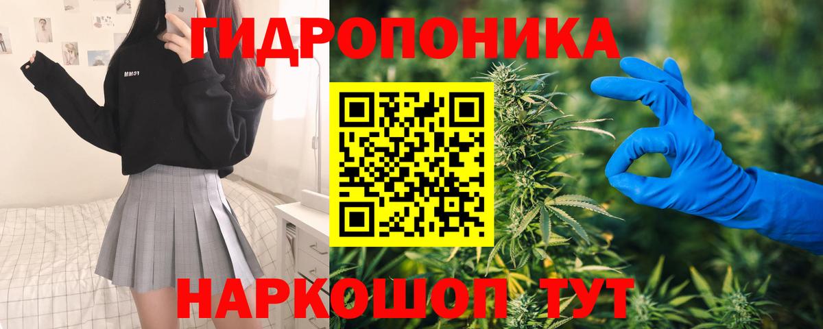 Шишки марихуана планчик  Вход с VPN  Северск  Бошки марихуана гибрид 